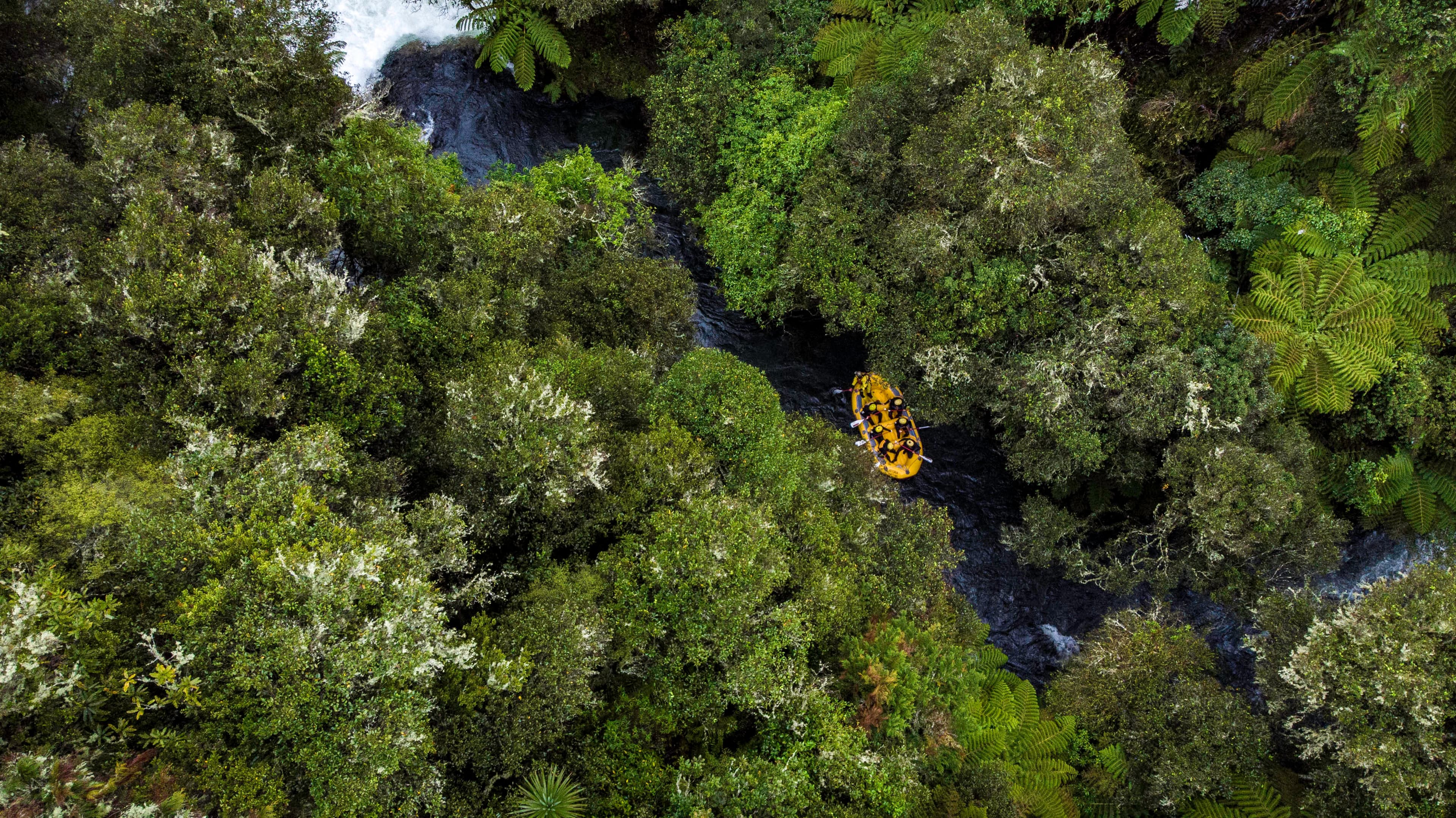 Aerial view of rafting through native forest