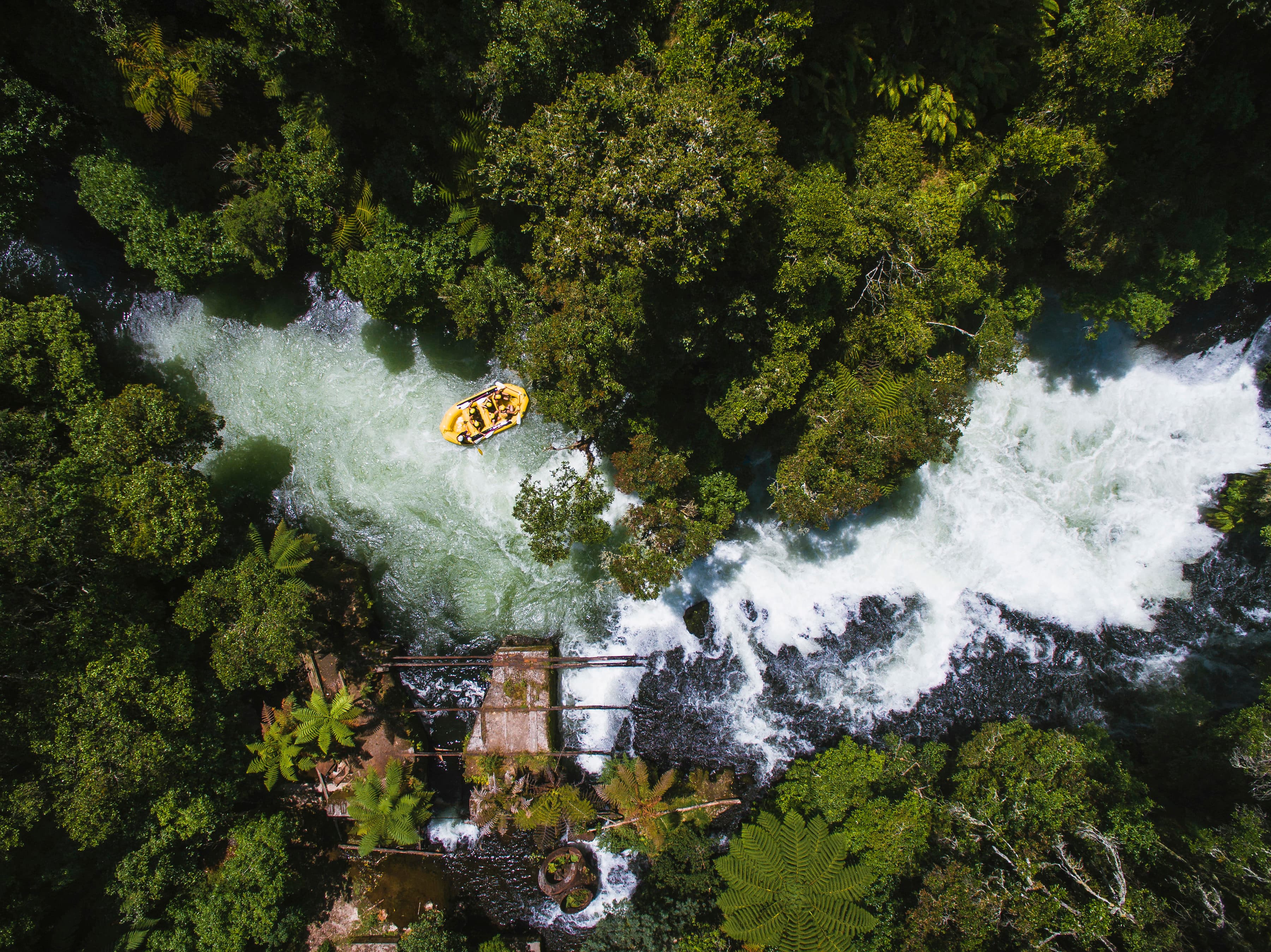 Aerial view of rafting through native bush